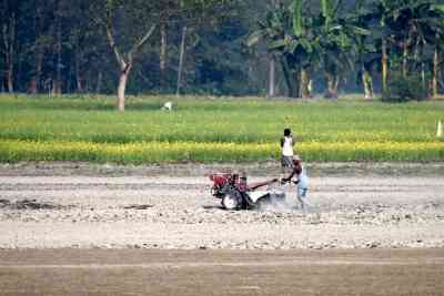 'Will destroy agri-sector': Maha farm leaders assail Nirmala's budget