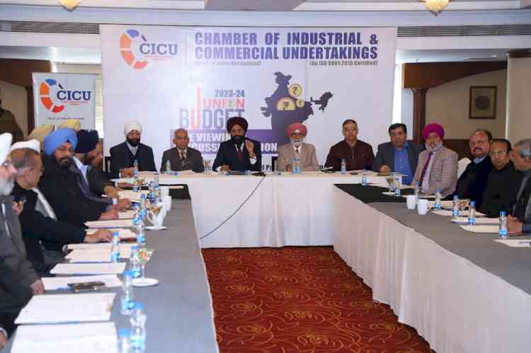 CICU Executive Committee holds live Budget meet 