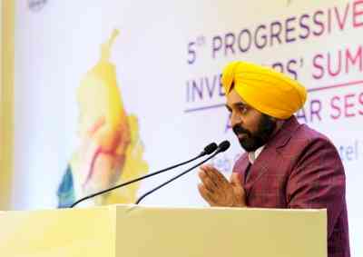 Punjab to soon be front-running industrial hub: Mann