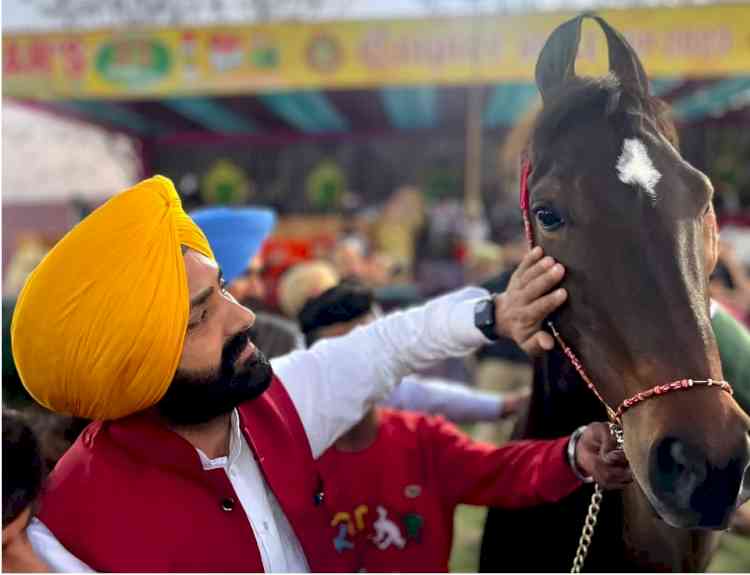 Punjab to priortise horse rearing as agro-auxiliary occupation: Laljit  Singh Bhullar