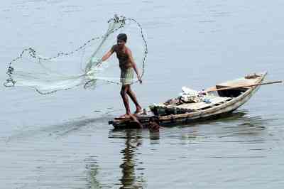 'India working on maximising net revenue from fisheries'