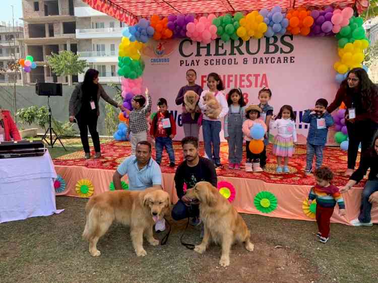 Baby show held at Cherubs Play School Panchkula