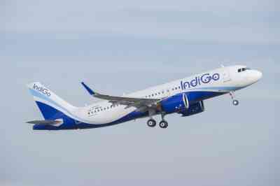 Indigo leads domestic aviation sector in Jan with 54.6% market share