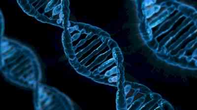 DNA testing of a minor child can't be used as shortcut to establish infidelity: SC