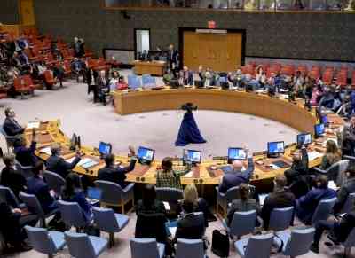 UN Security Council condemns attack on UN peacekeepers in Mali