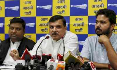 Delhi HC restrains AAP leaders from making defamatory claims against BJP's Shyam Jaju