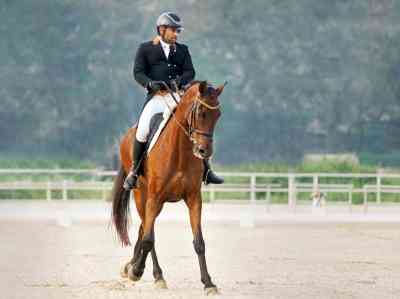 National Equestrian Championship: Gaurav Pundir emerges champion in dressage competition