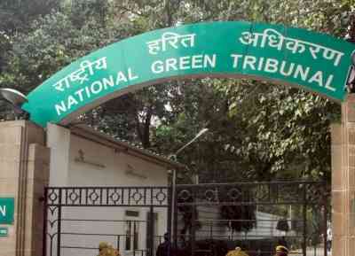 Stop illegal construction of university buildings within UP bird sanctuary: NGT