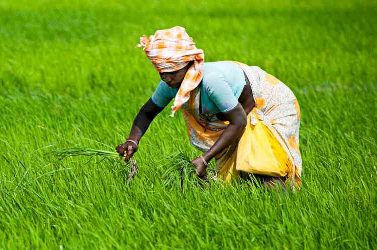On International Women’s Day, DS Group’s new initiative lauds the contribution of female farmers