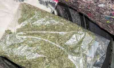 Delhi: Drug peddler held, over 12 kgs of cannabis recovered