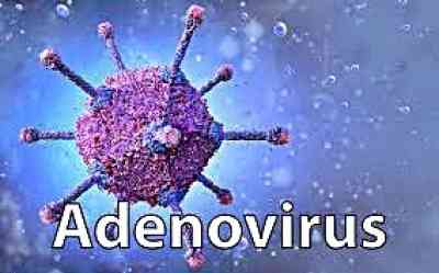 Adenovirus alarm: Bengal govt forms eight-member task force