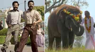 What are LA punters betting on? 'Naatu Naatu' and 'The Elephant Whisperers'