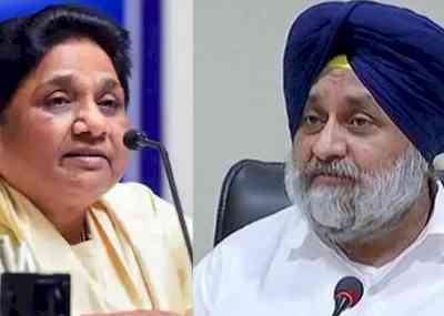 SAD-BSP to undertake joint Punjab Bachao campaign