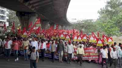 Maha CM gives Rs 300/quintal relief to onion growers, but farmers 'long march' is on