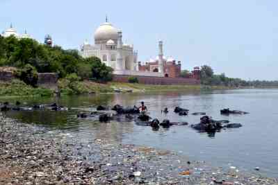 Polluted Yamuna tops Agra's list of woes