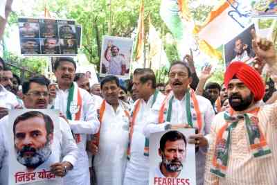 Maha Congress protests against jail sentence for Rahul