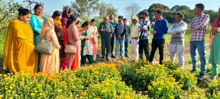 Farmers urged to adopt commercial flower cultivation