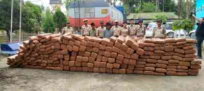 Tripura Police seize ganja valued at Rs 7.3 crore