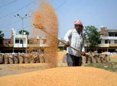 Punjab hikes wheat crop relief by 25% per acre