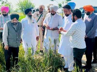 Punjab CM asks MLAs to expedite wheat crop loss relief