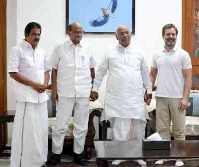 We are united, says Rahul after meeting Pawar