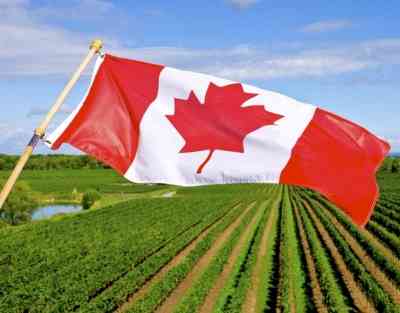 Canada needs 30,000 new immigrants in agri sector: Report