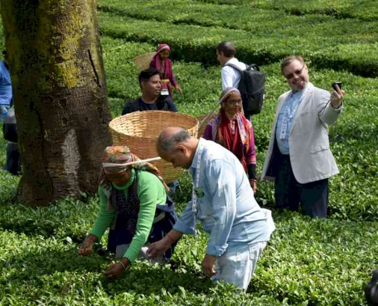 G-20(RIIG) delegations visit tea gardens and Arts Museum in Dharamshala