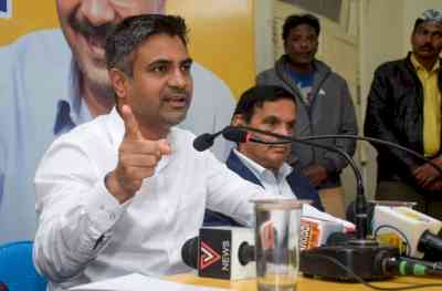 Constructive politics only option to defeat BJP's destructive politics: AAP