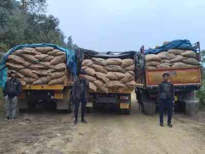 Assam police seize Burmese areca nuts worth Rs 4 cr; 10 detained