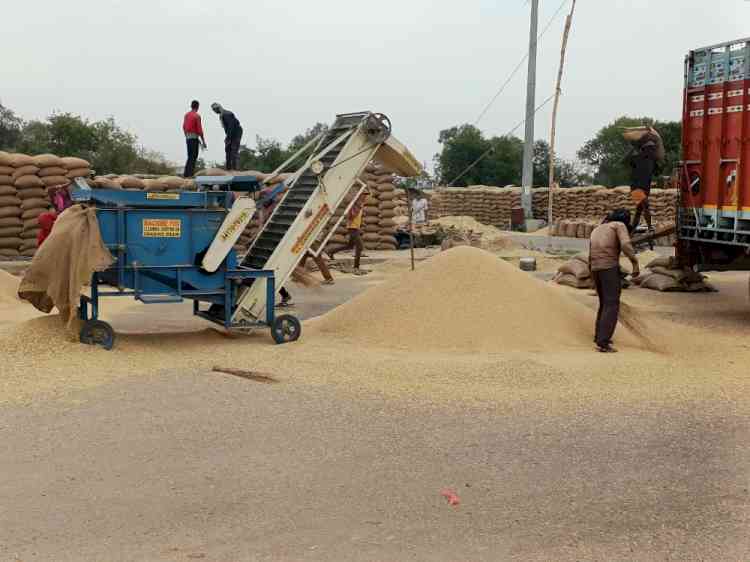 Pungrain leads in clearing payments to farmers  in Ludhiana, 6.64 Lakh MT wheat procured