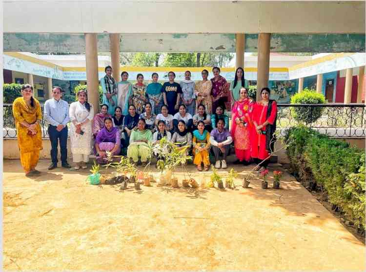 Dips College gave message to save environment by planting saplings in rising heat