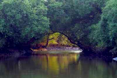 Over 19K water bodies in Odisha are drying up and of 'no use'