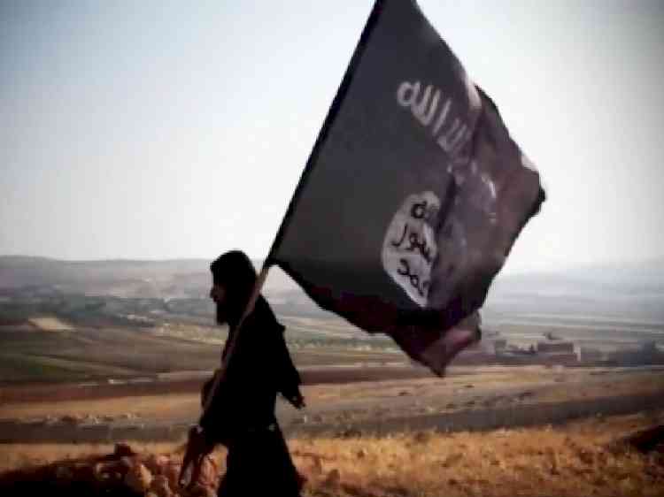 Indian-American charged with wiring money to IS women: Report