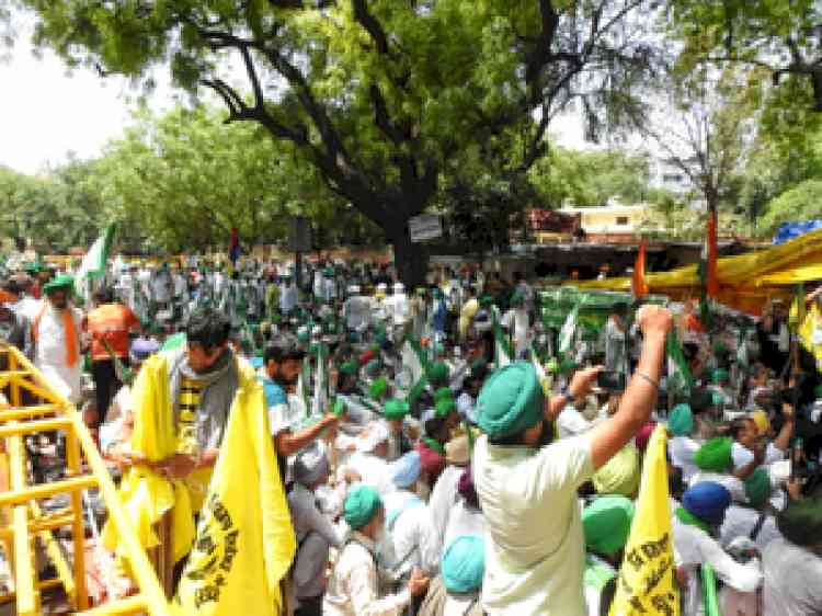 Wrestler vs WFI chief: Farmers breach police barricades at Jantar Mantar