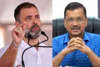 PIL in Delhi HC claims Rahul, Kejriwal made misleading statements on loan waiver for industrialists