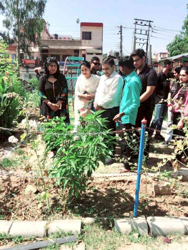 Herbal garden inaugurated at GMSSS 38 West