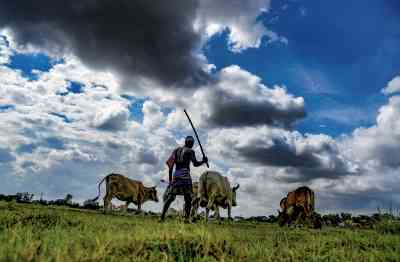 Himachal aiming to improve income of farmers