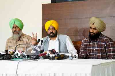 Channi's nephew demanded Rs 2 cr from cricketer for govt job: Bhagwant Mann
