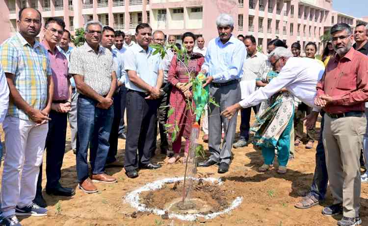 पर्यावरण संरक्षण के लिए ज्यादा से ज्यादा पौधे रोपित किए जाने की जरूरतः कुलपति प्रो. राजबीर सिंह