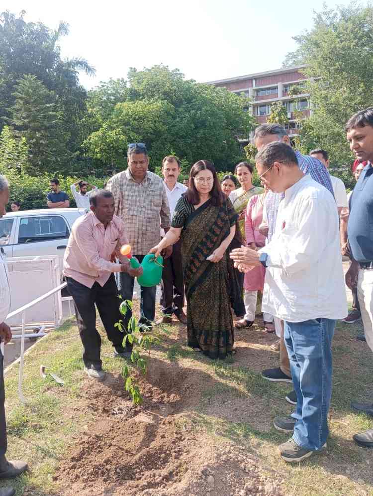 Tree plantation drive initiated at Panjab University