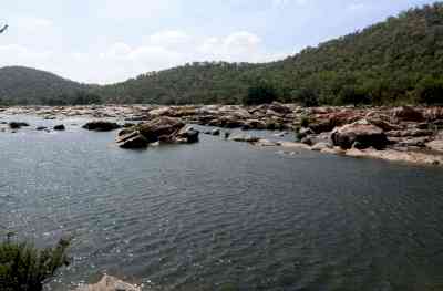 Cauvery Tribunal unlikely to take up Makedatu Dam issue