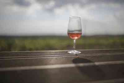 Don't allow liquor bars inside historic places: Goa freedom fighter