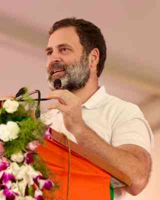 Wishes pour in for Rahul Gandhi on his 53rd b'day