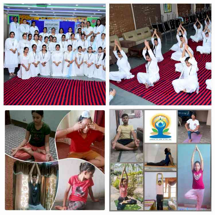 Awaken Your Inner Zen: Celebrations of International Yoga Day