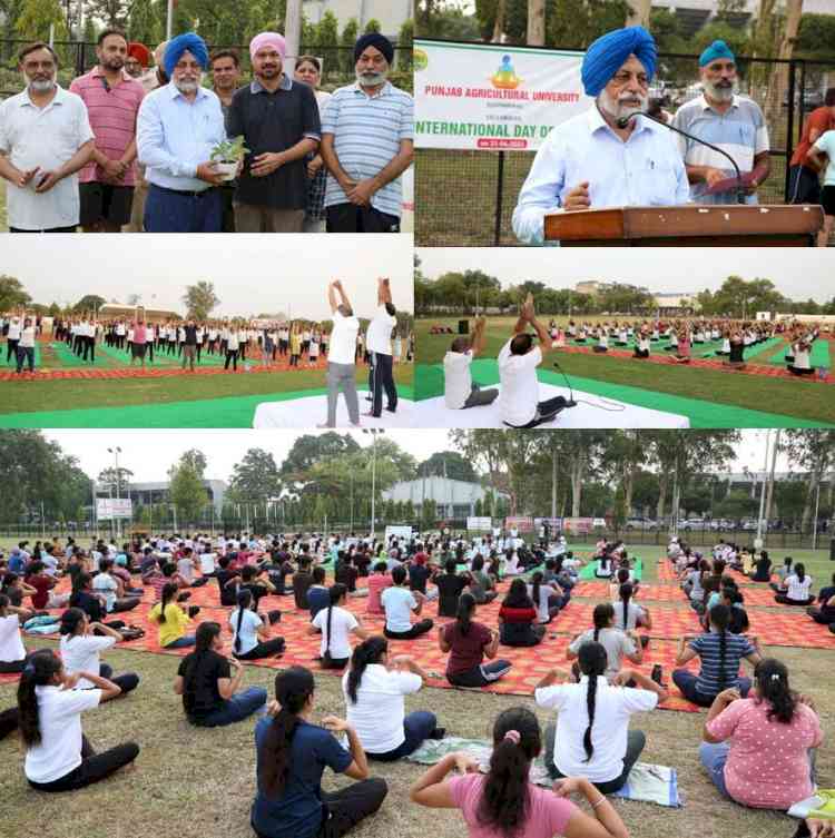 300 PARTICIPANTS ATTEND YOGA EVENT AT PAU