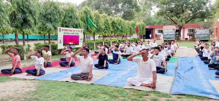 Vet Varsity celebrates International Yoga Day
