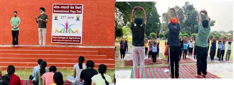 College of Agriculture, Ballowal Saunkhri celebrated International Yoga Day