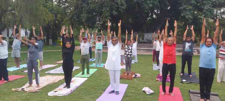 Kalia practices Yoga with BJP workers