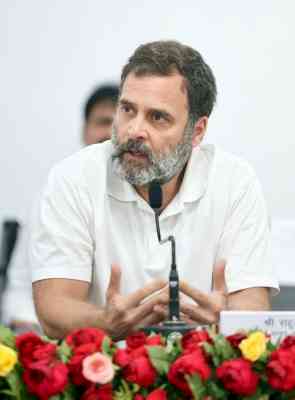 Oppn stands united in fight against BJP: Rahul Gandhi
