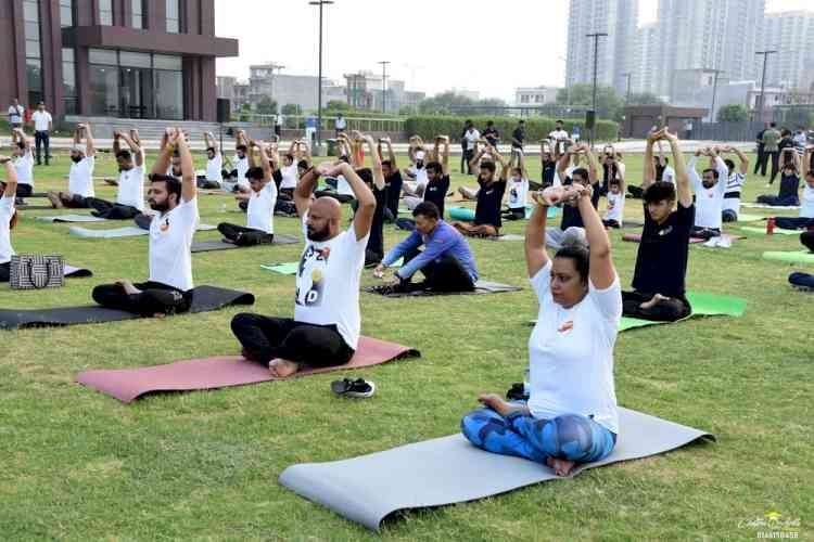 DLF City Center Mall, Edifecs and CFI organise Yoga Festival at Amity University Punjab